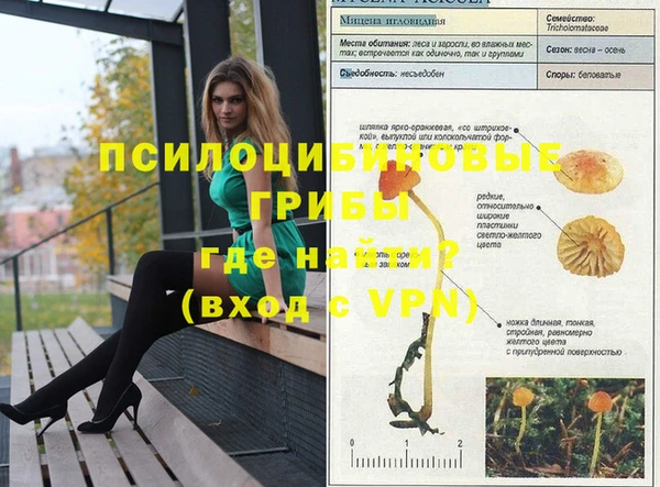 прущая мука Белокуриха
