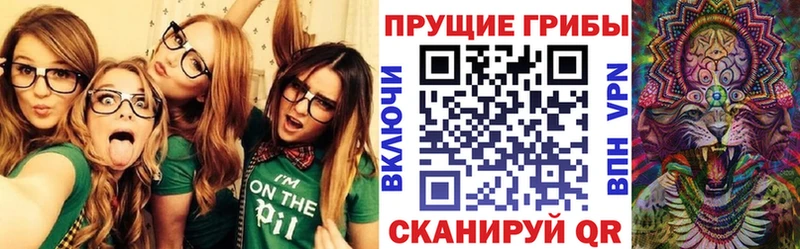 Галлюциногенные грибы мухоморы  продажа наркотиков  omg ТОР  Ногинск 