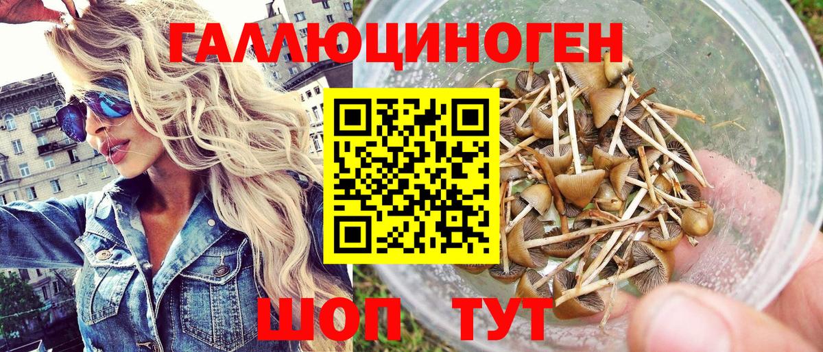 Ногинск  Галлюциногенные грибы мицелий  Вход с VPN 
